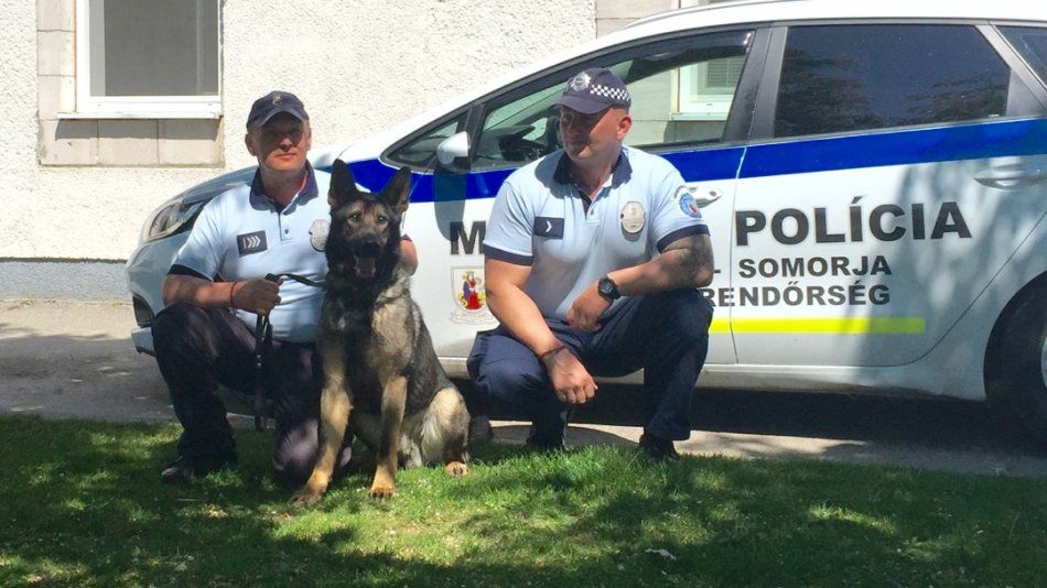 Policajné psy cvičili hľadanie drog