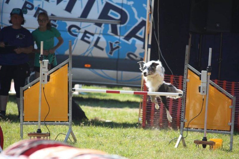 12524159_1105417232842461_1649703981198849904_n