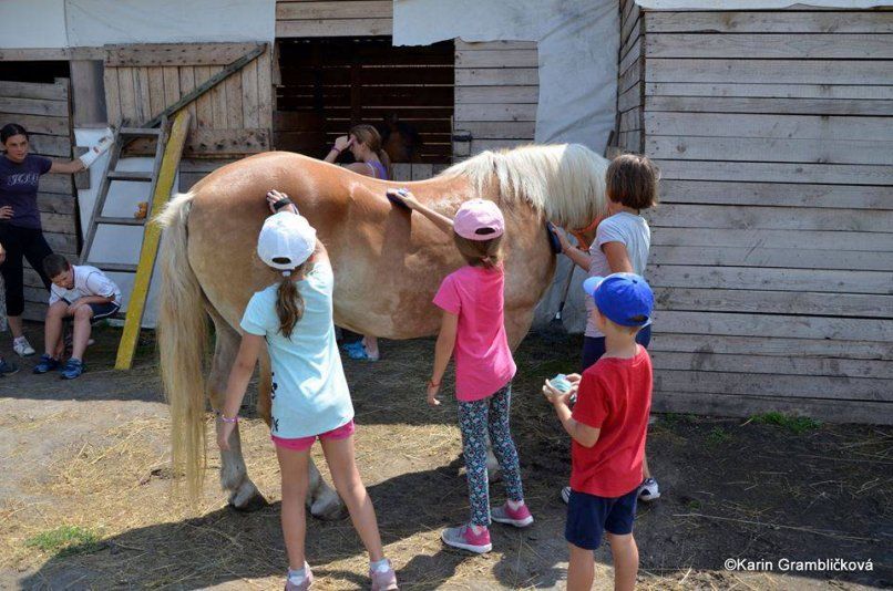 13871779_1142580679135040_1583332011_n 13871779_1142580679135040_1583332011_n