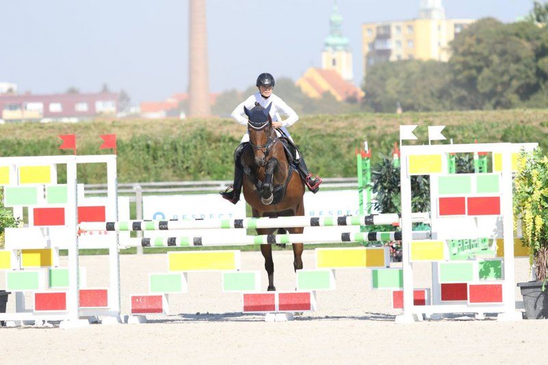 14434827_1734056100188040_1985465856781587340_o 14434827_1734056100188040_1985465856781587340_o