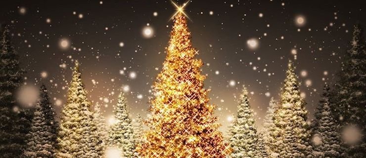 15146822_731212380376673_1239592239_o