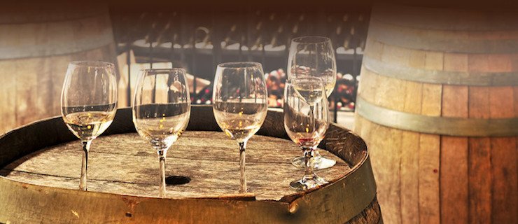 mlade_vina mlade_vina