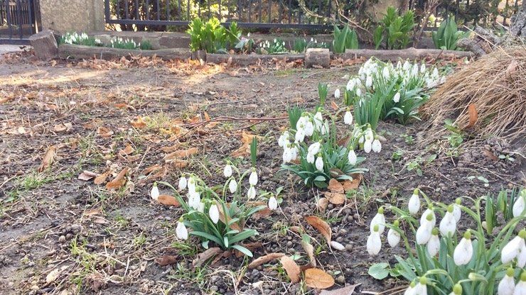 SHMÚ: Užívať si budeme pekné jarné počasie