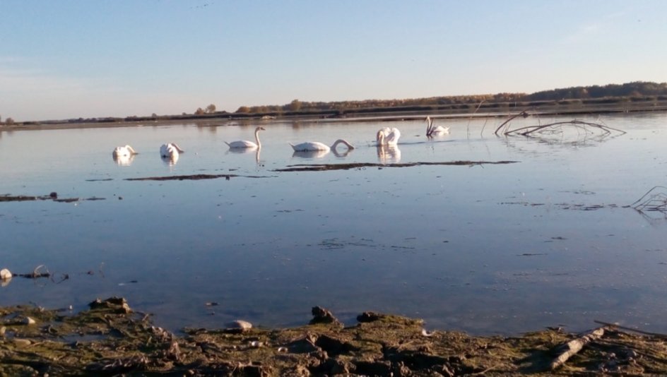 IMG_20171015_164659 IMG_20171015_164659