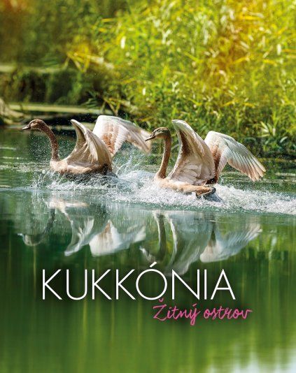 Kukkonia SK 2017 Kukkonia SK 2017