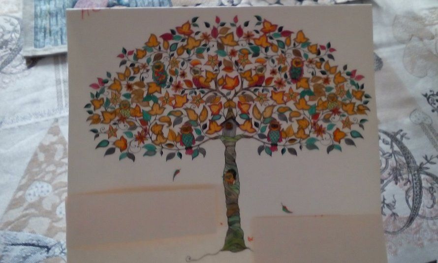 Pozdrav spoza oceánu Pozdrav spoza oceánu