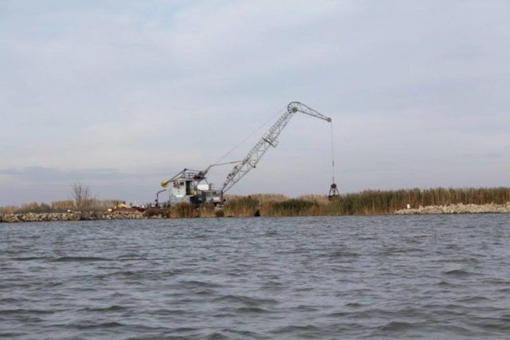 samorin_vtaci_ostrov samorin_vtaci_ostrov