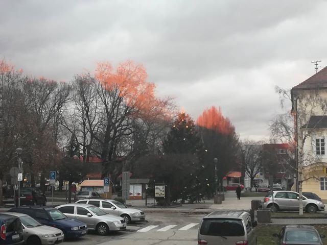 Namiesto bielych Vianoc hra svetla Namiesto bielych Vianoc hra svetla