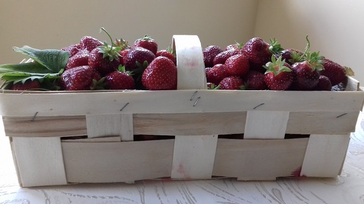 Posledný týždeň na samozber jahôd