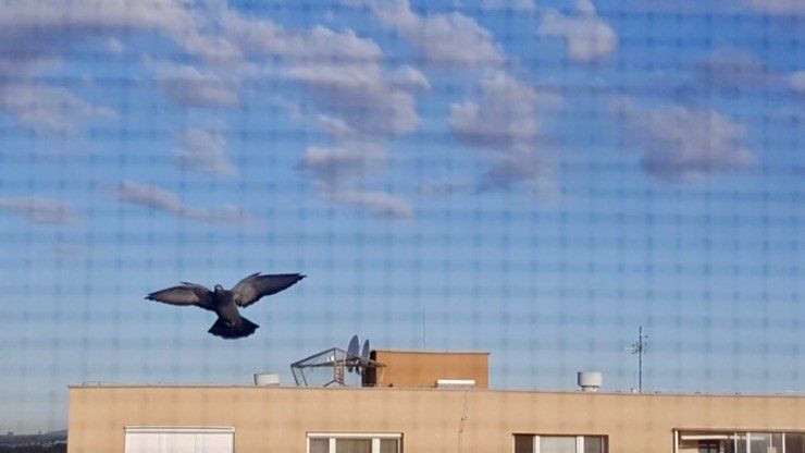 b71ccc56-c893-4b17-841a-8908237ad9f9