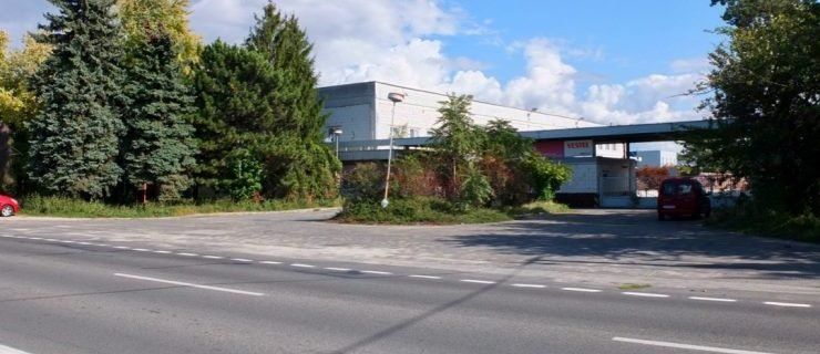 DSCF5537-e1569501914699 DSCF5537-e1569501914699