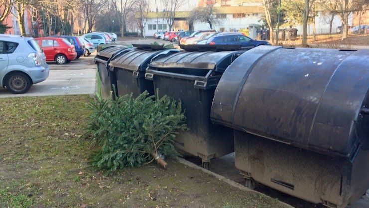 Vianočné stromčeky treba odkladať k smetným kontajnerom