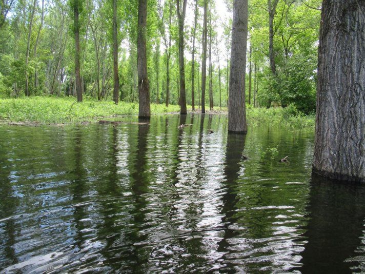 Začala simulovaná záplava v delte Dunaja, bude aj letná záplava