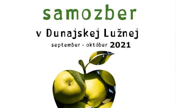 Samozber jabĺk v BIO sade pri Dunajskej Lužnej je otvorený