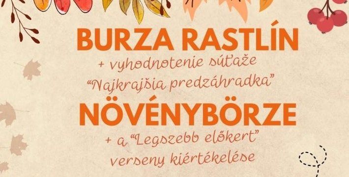 Máte doma prebytočné rastliny? Dnes ich môžete v Šamoríne vymeniť za nové Máte doma prebytočné rastliny? Dnes ich môžete v Šamoríne vymeniť za nové