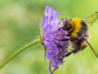 Fényképek Csehországból: Somorja az én szemszögemből Fényképek Csehországból: Somorja az én szemszögemből
