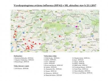 Pozor na vtáčiu chrípku v okrese Dunajská Streda