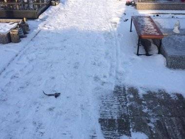 Tip čitateľa: Ľudia sa sťažujú na zľadovatené chodníky