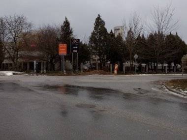 Tip čitateľky: Mesto prišlo o krásny strom