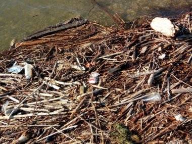 Takto to vyzerá pri Dunaji