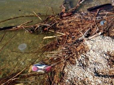 Takto to vyzerá pri Dunaji