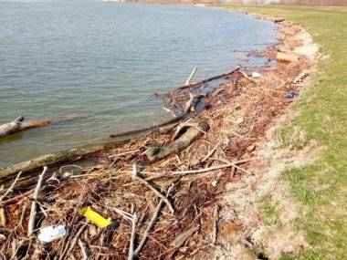 Takto to vyzerá pri Dunaji