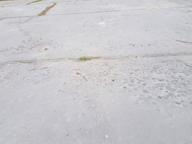 Vážení predstavitelia mesta Šamorín