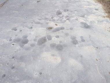 Vážení predstavitelia mesta Šamorín