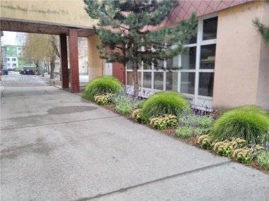 Brigáda na obnovu areálu ZŠ Mateja Bela Brigáda na obnovu areálu ZŠ Mateja Bela