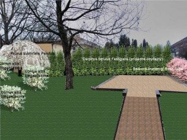 Brigáda na obnovu areálu ZŠ Mateja Bela Brigáda na obnovu areálu ZŠ Mateja Bela