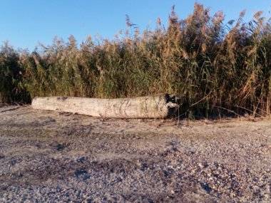 Foto čitateľky: Dunaj sa stratil… Foto čitateľky: Dunaj sa stratil…