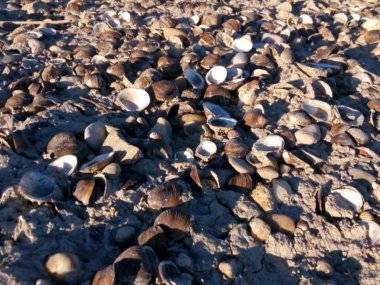 Foto čitateľky: Dunaj sa stratil… Foto čitateľky: Dunaj sa stratil…