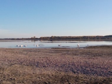 Foto čitateľky: Dunaj sa stratil… Foto čitateľky: Dunaj sa stratil…