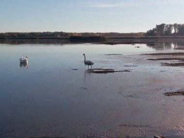 Foto čitateľky: Dunaj sa stratil… Foto čitateľky: Dunaj sa stratil…