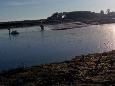 Foto čitateľky: Dunaj sa stratil… Foto čitateľky: Dunaj sa stratil…