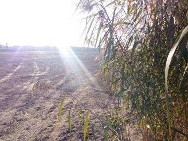 Foto čitateľky: Dunaj sa stratil… Foto čitateľky: Dunaj sa stratil…