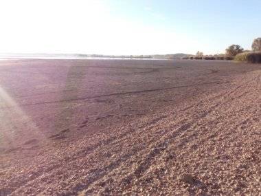 Foto čitateľky: Dunaj sa stratil… Foto čitateľky: Dunaj sa stratil…