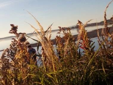 Foto čitateľky: Dunaj sa stratil… Foto čitateľky: Dunaj sa stratil…