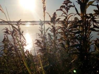 Foto čitateľky: Dunaj sa stratil… Foto čitateľky: Dunaj sa stratil…