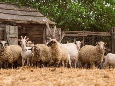 Objavte krásy nášho regiónu: Kukkónia – Žitný ostrov Objavte krásy nášho regiónu: Kukkónia – Žitný ostrov