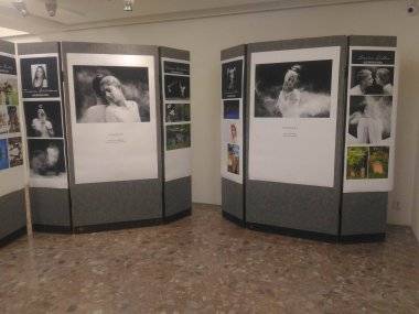 V MsKS vystavuje 11 talentovaných Šamorínčanov