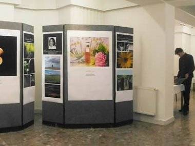 V MsKS vystavuje 11 talentovaných Šamorínčanov