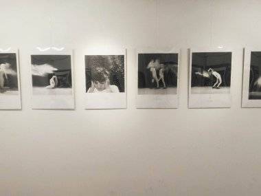 V MsKS vystavuje 11 talentovaných Šamorínčanov