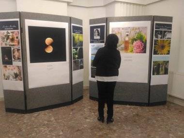 V MsKS vystavuje 11 talentovaných Šamorínčanov