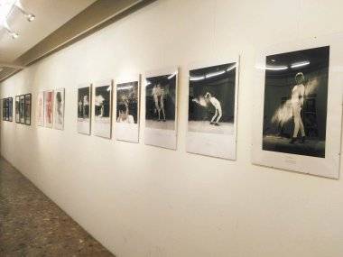 V MsKS vystavuje 11 talentovaných Šamorínčanov