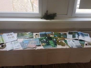 Les ako tvorivá dielňa prírody