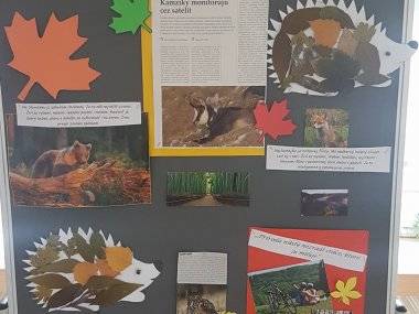 Les ako tvorivá dielňa prírody