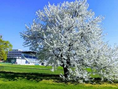 Fotky čitateľov: Tá fotka vás zahreje pri srdci Fotky čitateľov: Tá fotka vás zahreje pri srdci