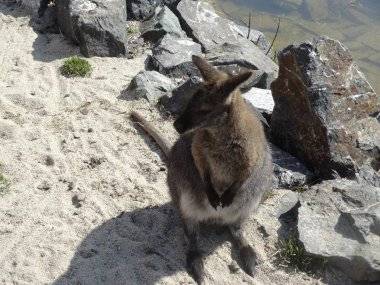 Malkia Park len pár minút od Šamorína sa stále zväčšuje Malkia Park len pár minút od Šamorína sa stále zväčšuje