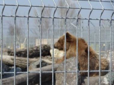 Malkia Park len pár minút od Šamorína sa stále zväčšuje Malkia Park len pár minút od Šamorína sa stále zväčšuje